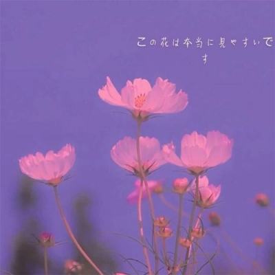 bte365真正的网站app下载