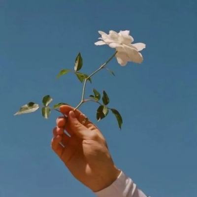 开元体育下载截图